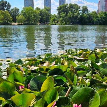 3-к Березняки Тичини 3/ Серафімовича/Шумського ЖК Тичини 3