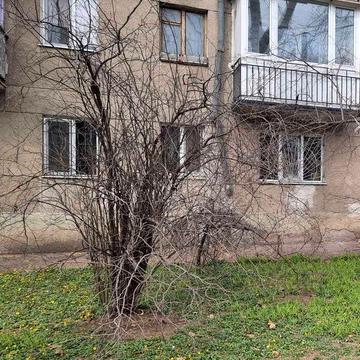 Фасадная квартира на Черемушках под коммерцию.