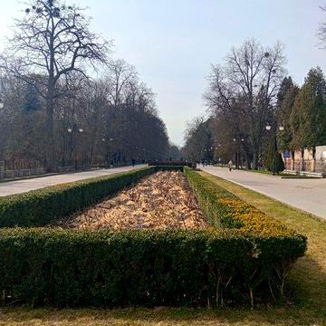 Здається квартира біля міського парку  Шевченка