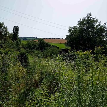 Халепя, Обухівський, Київська область 5000.0 USD