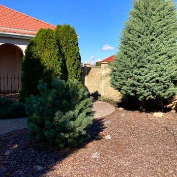 В продаже уютный, комфортный дом в пригороде Одессы