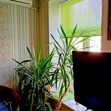 Продаж 1к Квартира Новосельського вулиця