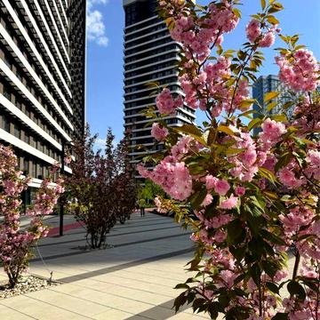 Терміновий продаж 71м2 ЖК Great Грейт Позняки Дніпровська наб. ЖК Great