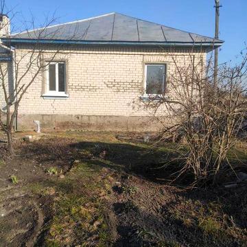 Здам будинок в  селі Смолянка Чернігівської області