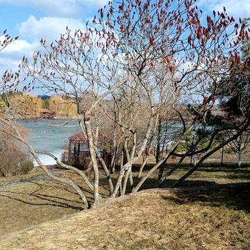 Ексклюзивний Продаж  Будинку