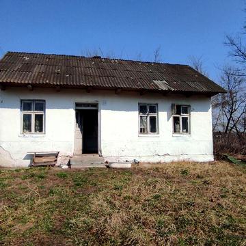 Продам будинок Шипинці 36 соток чорнозему