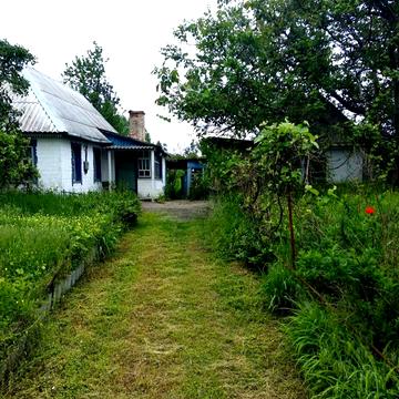 Сержанта Волкова вул.