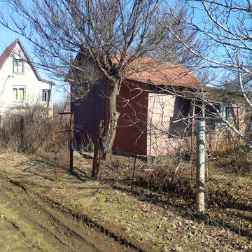 Продам дачу в Бориспільському р-ні