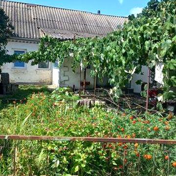 Продам будинок і 72 сотки землі, село Червоне