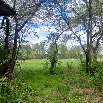 Продам  будинок село Підлісне Чернігівський район