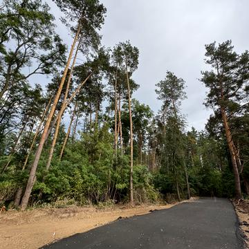 Ходосівка, Обухівський, Київська область 80000.0 USD