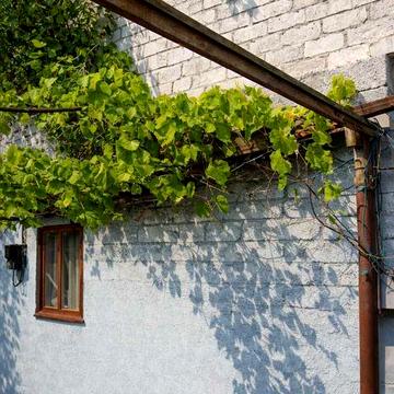 Дача біля води, до пляжу - 200 метрів