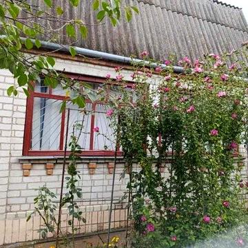 дача в передмісті Житомира