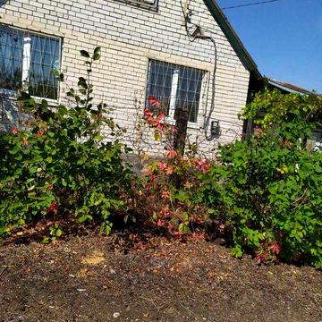 Продам ділянку з будинком в садовому товаристві міста Підгороднє