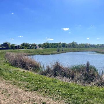 Здаю в оренду дачний будинок в місті Українка біля річки та соснового