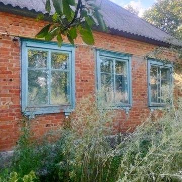 Продам будинок з ділянкою та господарством. Смт. Опішня