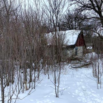 Продам стару хату в селі Холосне Коростенського району