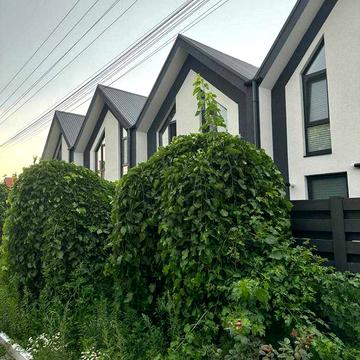 Продаж/Таун Хаус/ Святопетрівскье/90m2/140000дол./Генератор