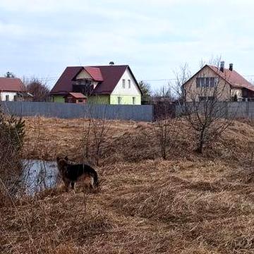 Безкоштовно будинок