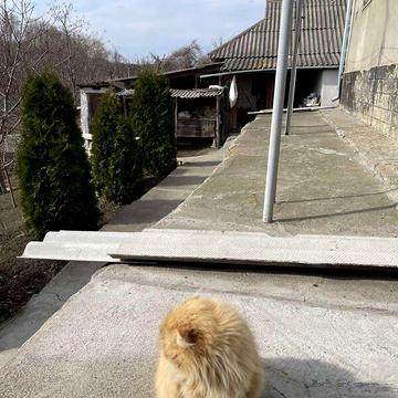 Продаж 3к Дім Гончарівська (Чапаєва) вулиця