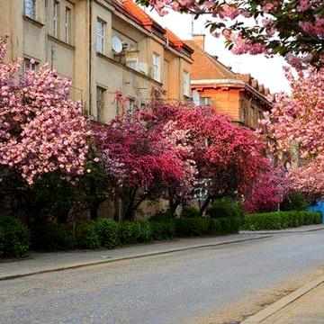 Здається історична квартира