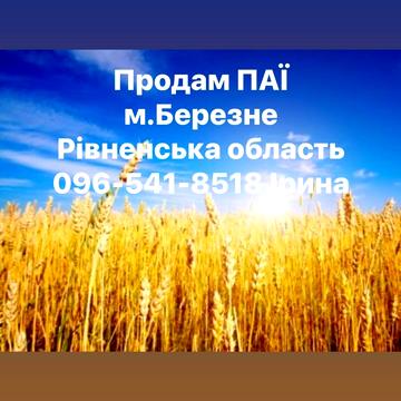 Березне, Рівненський, Рівненська область 2500.0 USD