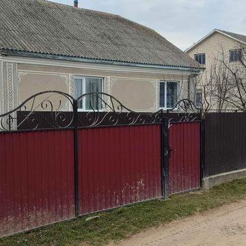 Продається будинок в с. Дружне