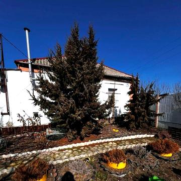 Продаю затишний будинок неподалік Полтави