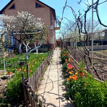 Продается капитальный дом у моря в пригороде Черноморске