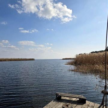 Дача у сосновому лісі біля Дніпра! Стовп’яги, СТ «Славутич»