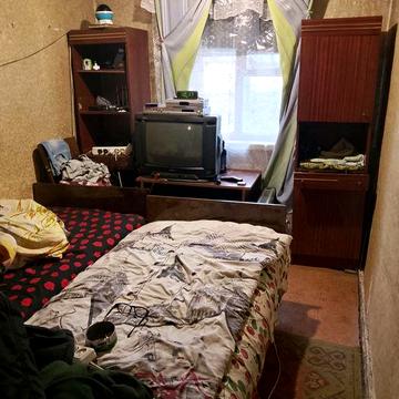 Бесплатно приму к себе