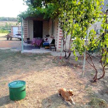 Продам дім/будинок/садибу в селі Олександрівка