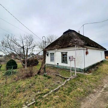 Дом в аренду в Елизаветовке