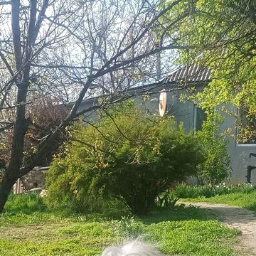 Часть дома 108 м², 25 соток, газ, срочно Чугуевский район, с. Терновая