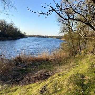 Дома под реабілітацію