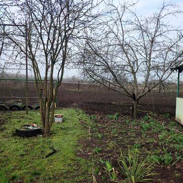 Продається будинок в селі Широке Криворізького району