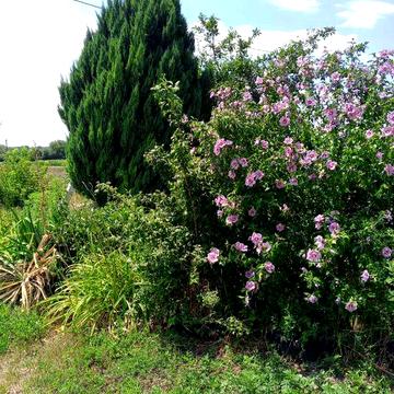 Продам дом С.Светлогорское