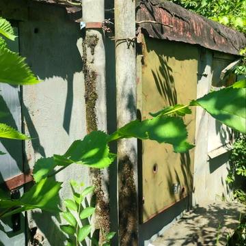 Стуфчинці, Хмельницький, Хмельницька область 5500.0 USD