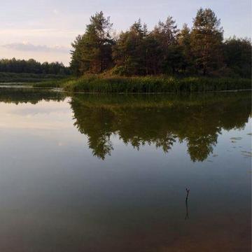 Продам дачу с. Ліпляве