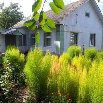 Продам будинок у місті Мена вул. Виноградна з ділянкою 12 соток