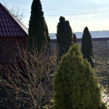 Продам Дом-дачу с выходом к Хаджибеевскому лиману