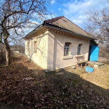 Продаж дачі, Борсків