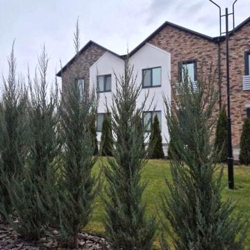 Продаж 4к Квартира Козачої ради (Докучаєва) вулиця