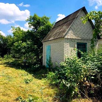 Дача ТОВ Заріччя