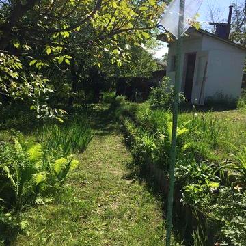 Дача під Києвом в оренду