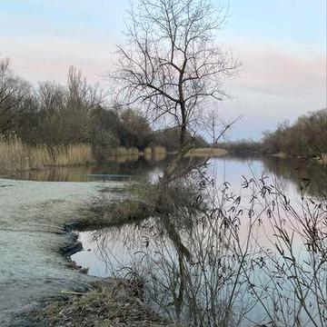 Продаж будинку біля р. Псел під житло чи бізнес