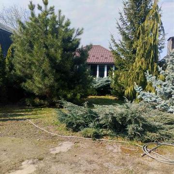 Здам частину будинку в Тарасівці. Все поруч