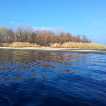 Продам дачу у СТ Фотон на 12 сот. землі