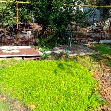 Продам полдома со своим двором Красноселка/участок 18 соток/ГосАкт