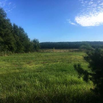 Продается дом . Участок 86 соток на опушке леса